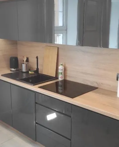 Sw. Ducha 29-31 דירה *